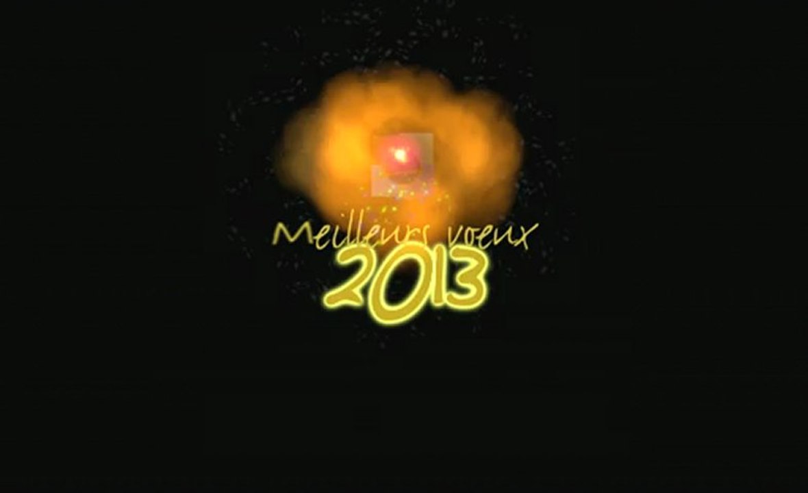 Bonne année 2013 !