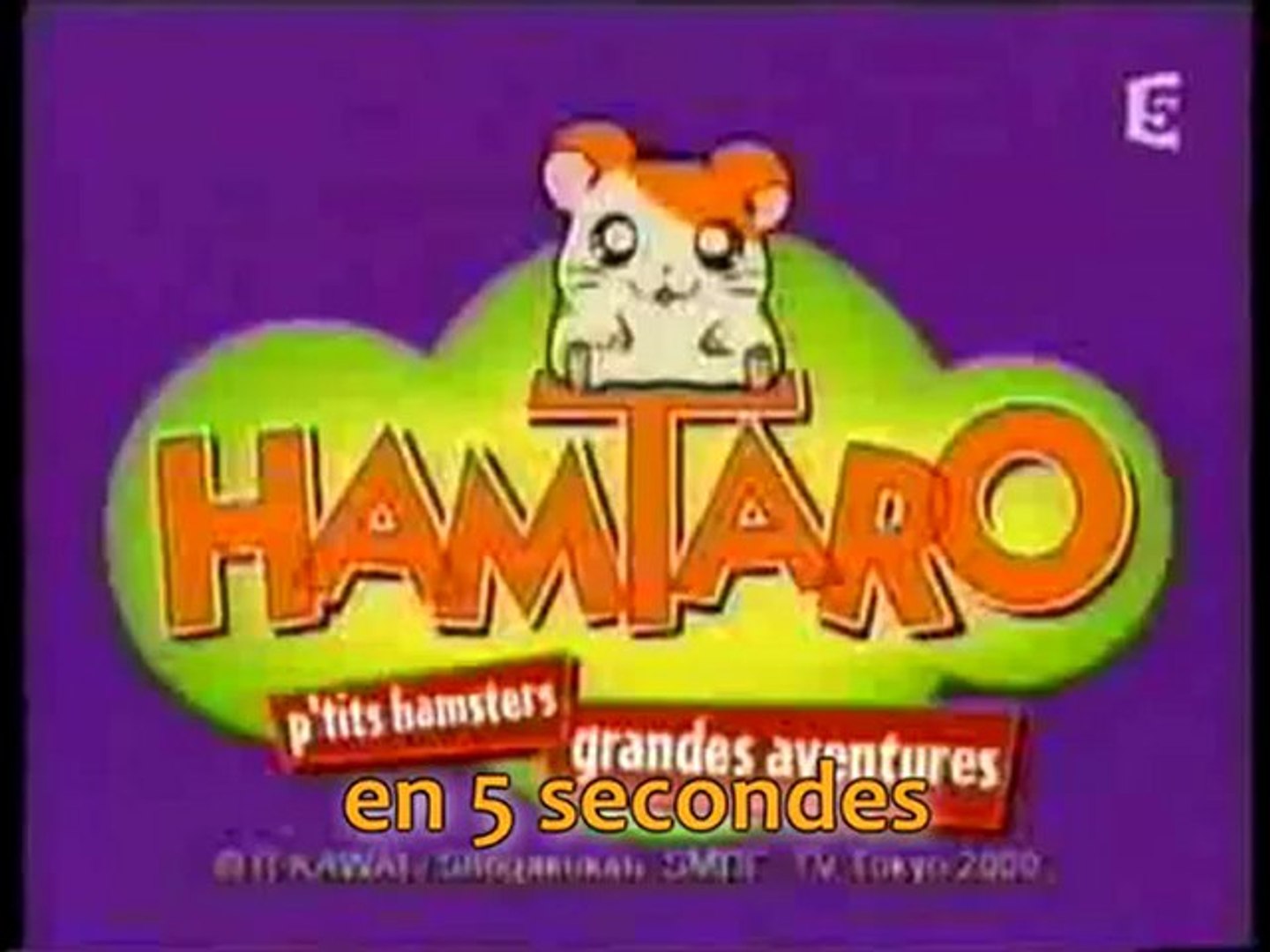 Hamtaro En 5 Secondes Video Dailymotion