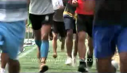 Chapchar kut-aizawl-Z1-hdv-80.flv