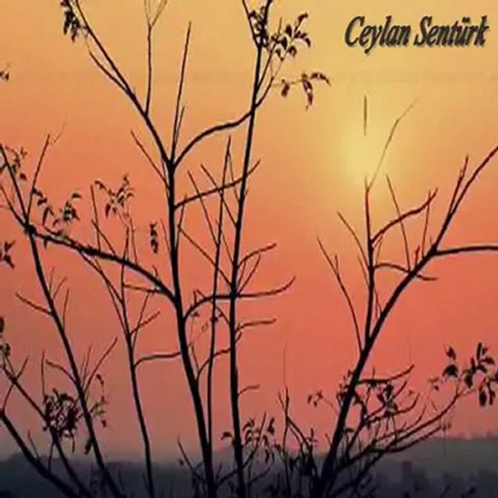 Sensiz Geçen Bir Hayatı Düşünemiyorum