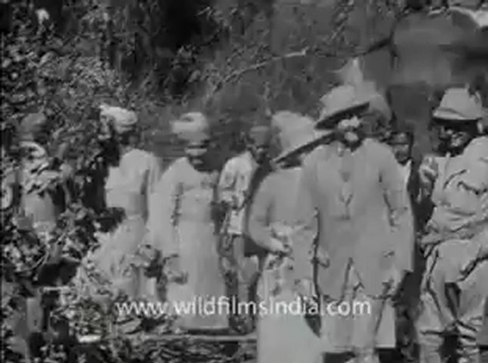 Corbett Tiger-2.flv