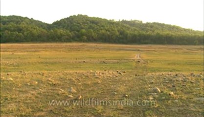 Corbett-HDC-93-6.flv