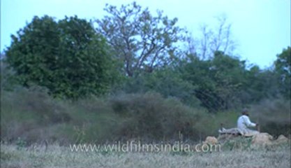 Corbett-hdc-93-17.flv