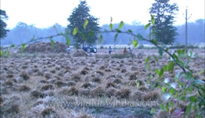 Corbett-hdc-93-9.flv