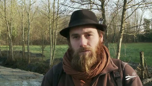 Restauration d'un îlot de marais sur le Marais du Galuchet à Niort