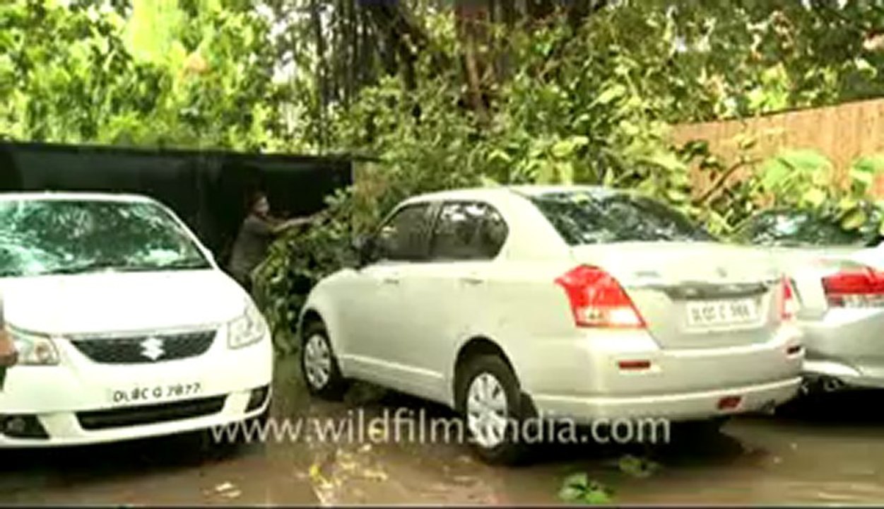Delhi-rain-10.flv
