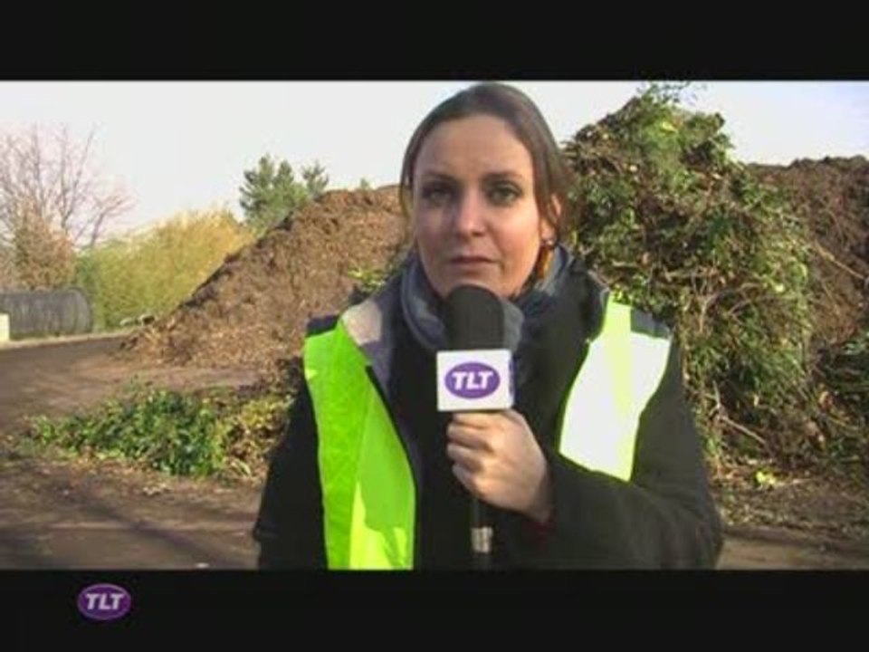 Recyclage : Mon beau sapin... roi du compost ? (Toulouse)