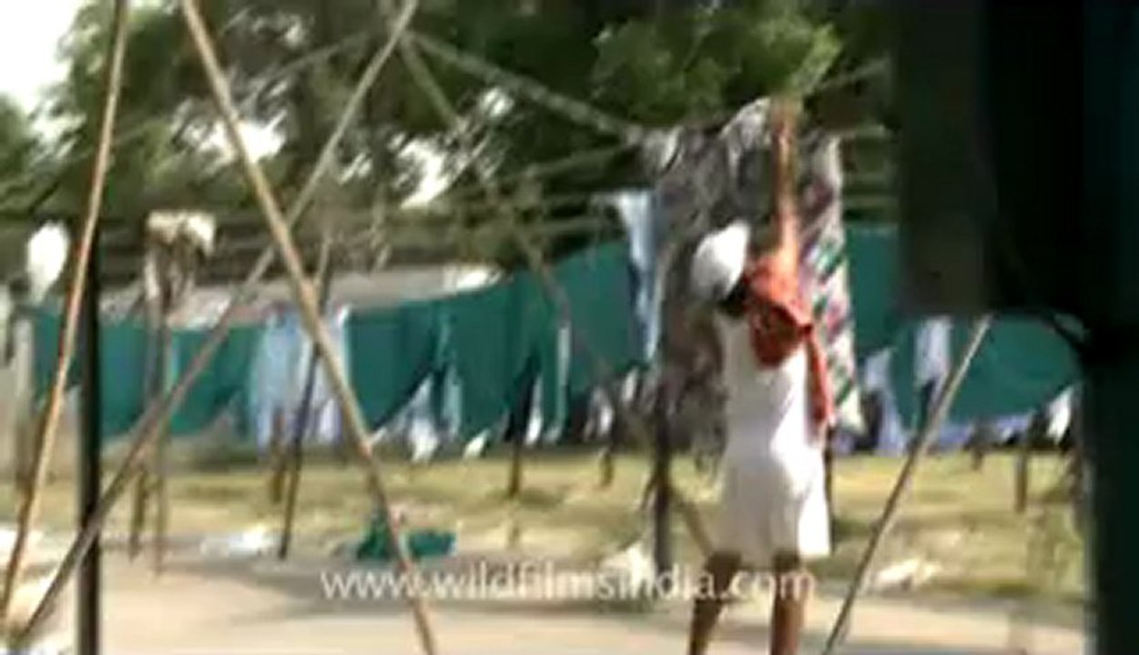 Dhobi-1.flv