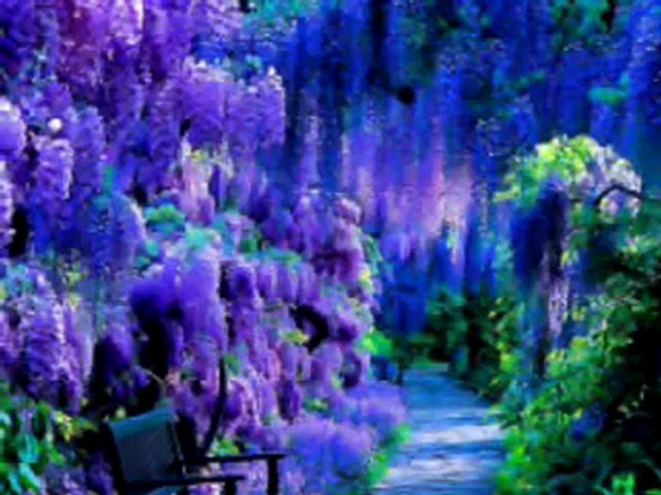 Nedim varol Tufanbeyli. Adana (Güle benzersin.2013.)