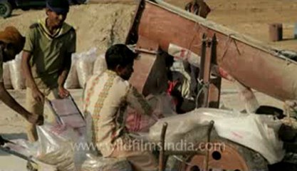Gujarat-Desert-Salt packing-1.flv