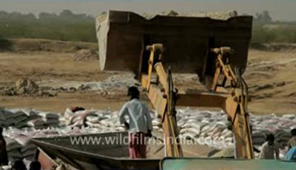 Gujarat-Desert-Salt packing-10.flv