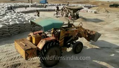 Gujarat-Desert-Salt packing-4.flv