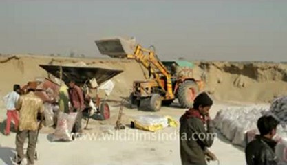 Gujarat-Desert-Salt packing-9.flv