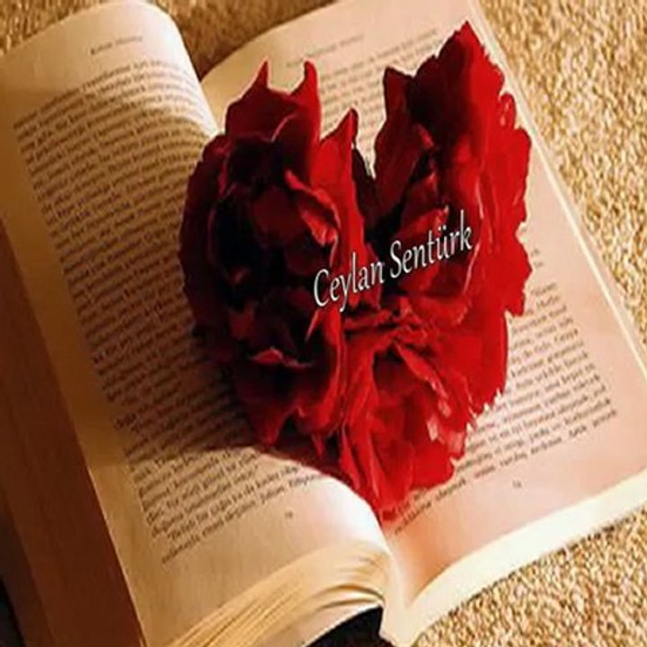 SENİ SEVMEK - EDİP AKBAYRAM