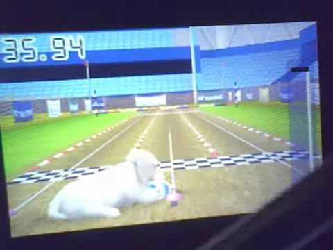 mes chiots dans nintendogs + cats