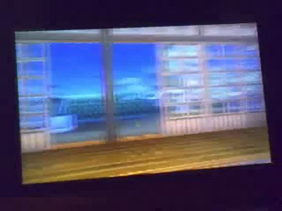nintendogs + cats spécial boutique