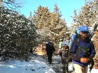 Himalaya-everest-3.flv