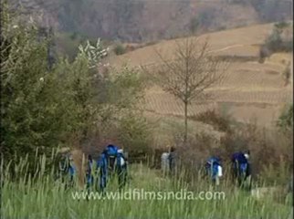 Himalaya-everest-31.flv