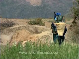 Himalaya-everest-34.flv