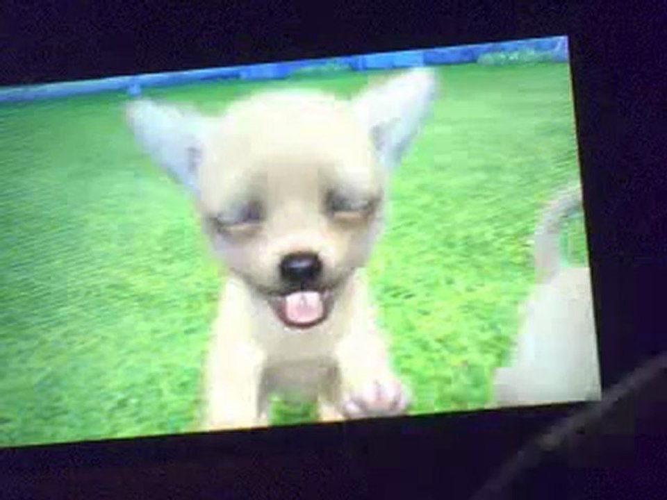 nintendogs + cats le chenil partie 2