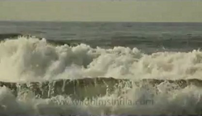 Indonesia-Bali-Surf-14.flv