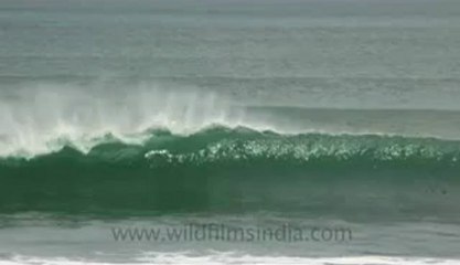 Indonesia-Bali-Surf-5.flv