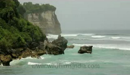 Indonesia-Bali-Surf-6.flv