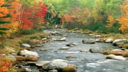 Yıldız  Çam - Ömrüm -