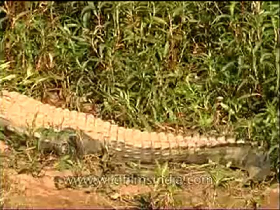 Ken river-mdv-138-18.flv