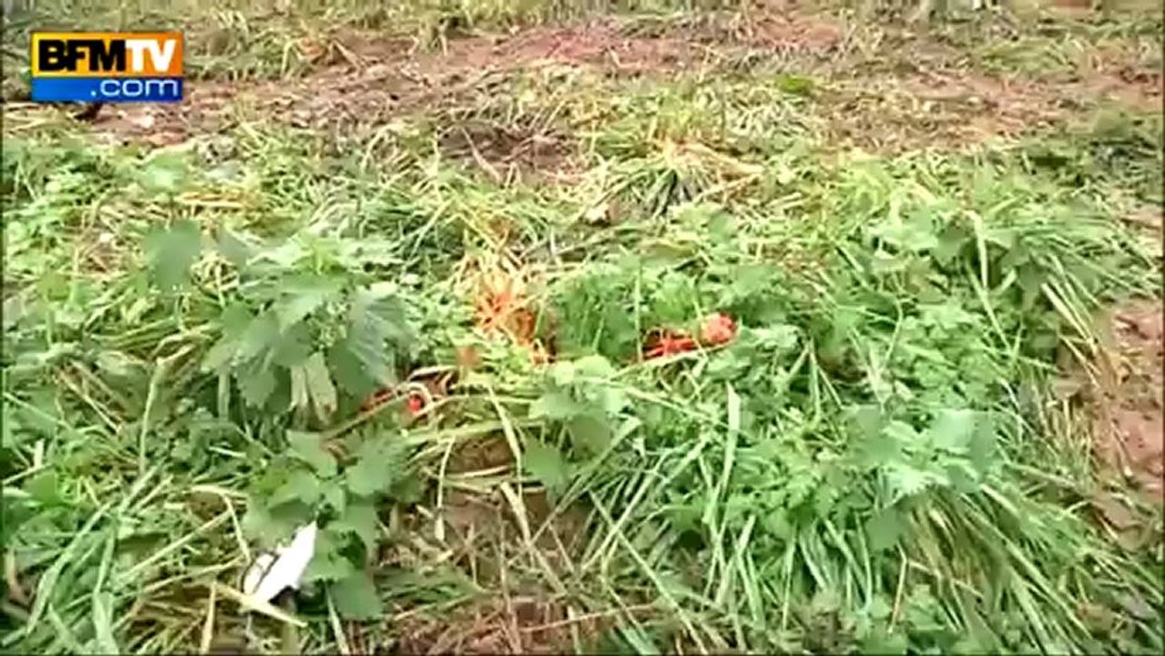 Il filme son excès de vitesse, se tue et provoque la mort de deux femmes