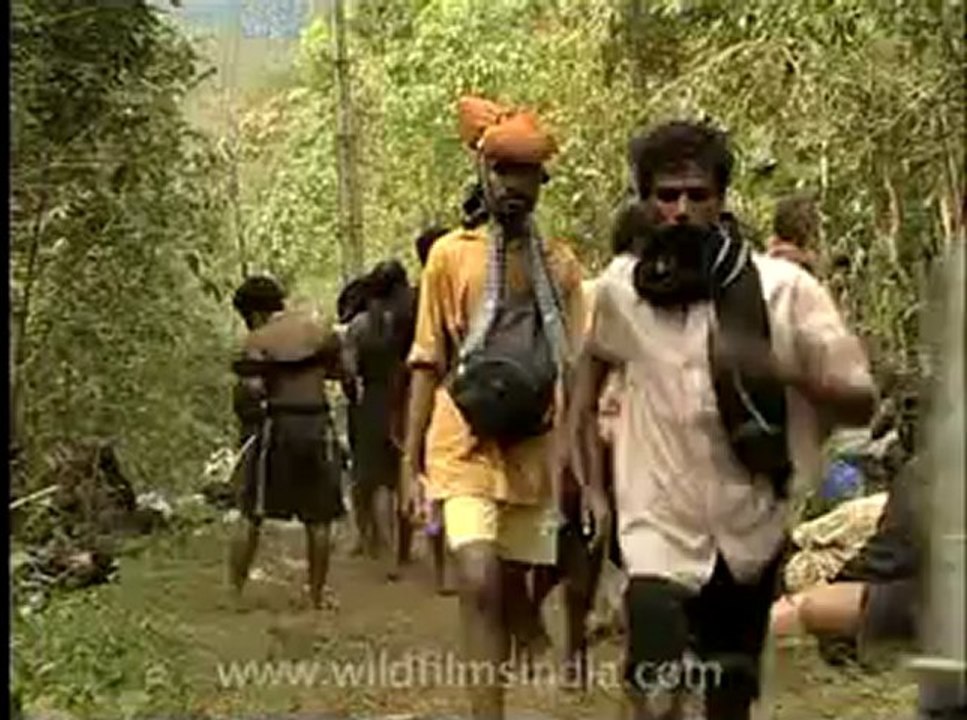 Kerala-Sabarimala-113.flv