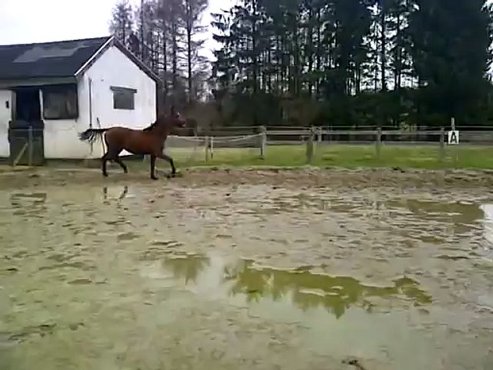 Bébé Eole lâché en piste.