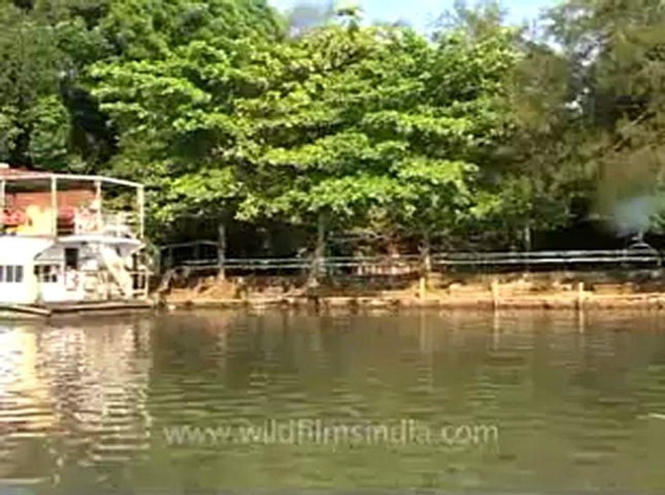 Kerala-backwater-2.flv