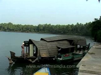 Kerala-backwaters-13.flv