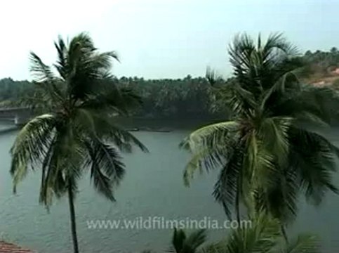 Kerala-backwaters-5.flv