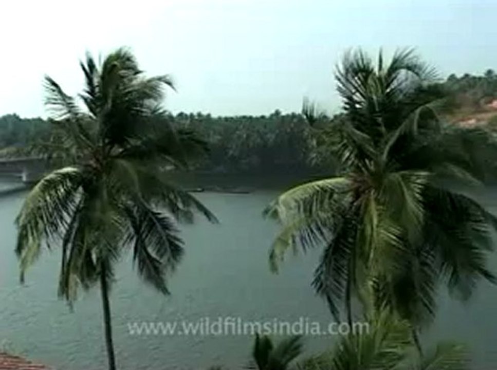 Kerala-backwaters-5.flv