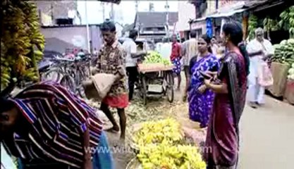 Kerala-trivandrum-10.flv