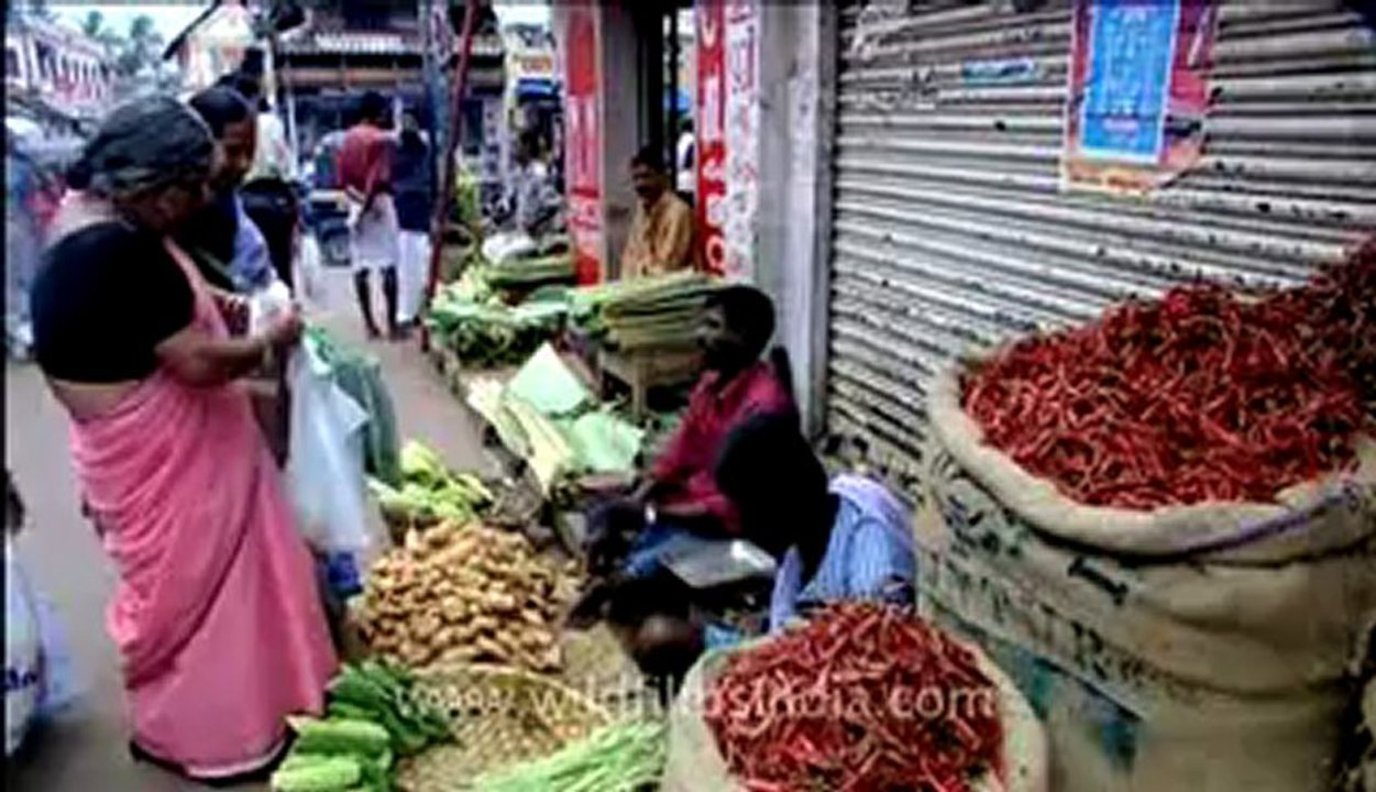 Kerala-trivandrum-12.flv