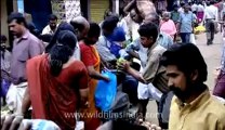 Kerala-trivandrum-14.flv