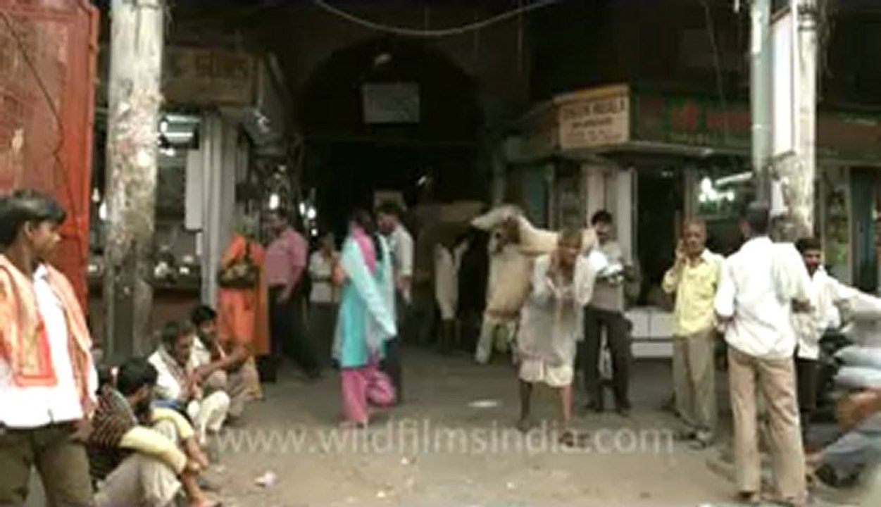Khari Baoli Market-2.flv
