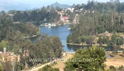 Kodaikanal-9-landscape.flv