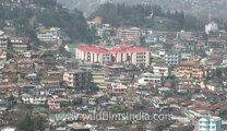 Kohima-Z-1-hdv-11-1.flv
