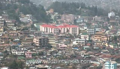 Kohima-Z-1-hdv-11-1.flv