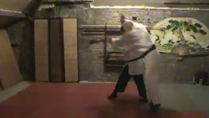 Ushiro ryote dori ju tai : sortie