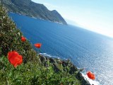 rezavacances locations de vacances en Corse