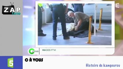 Zapping Actu du 08 Janvier 2013 - Le mariage pour tous, panne de télésiège