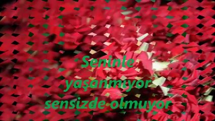 BEN SENİN KULUNMUYUM