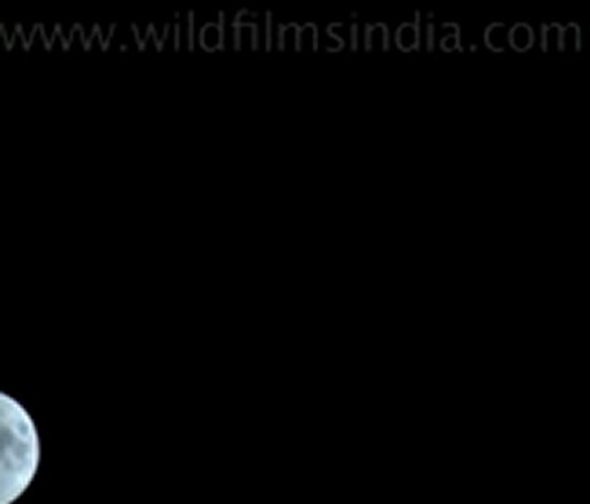 Lunar eclipse-1-12.flv