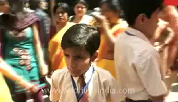 Mahavir jayanti-School children in the procession-13.flv