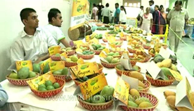 Mango festival-dilli haat-pitampura-1.flv